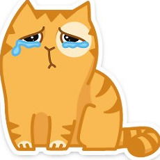 Вася Губриков