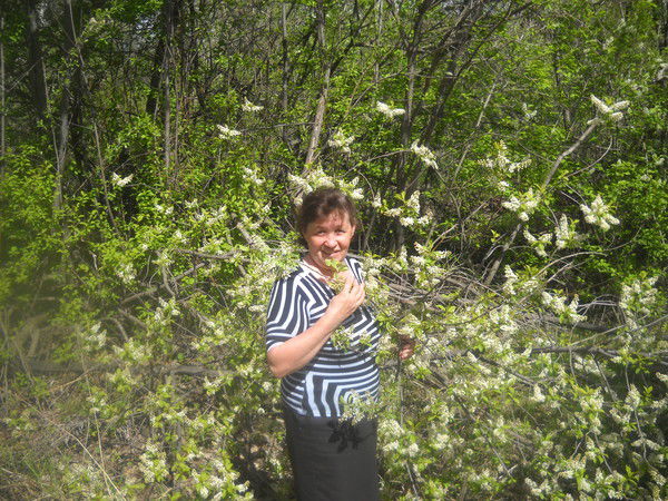 Евгения Киргетова