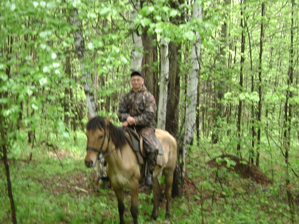 Александр Волков