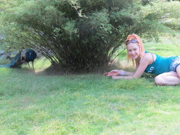 Анжела Климова