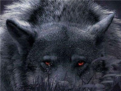 Андрей Захаров