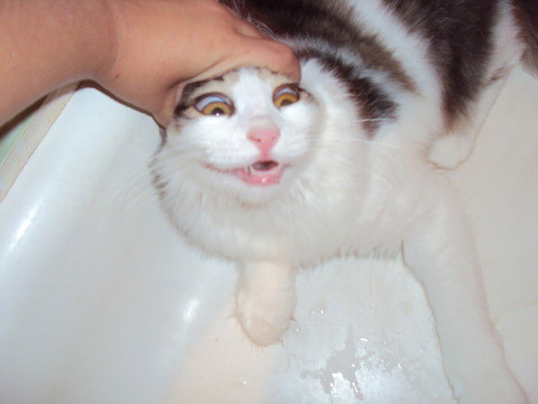 Сергей Зеленский