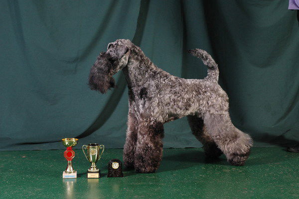 Лариса Секерина