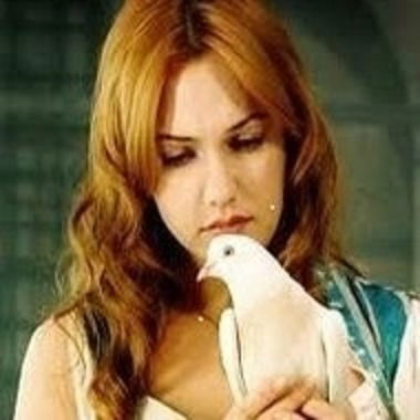 Девушка Девушка