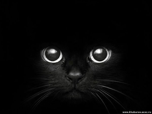 Татьяна Филатова