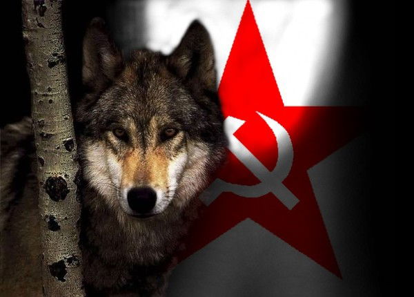 Юный Октябрь