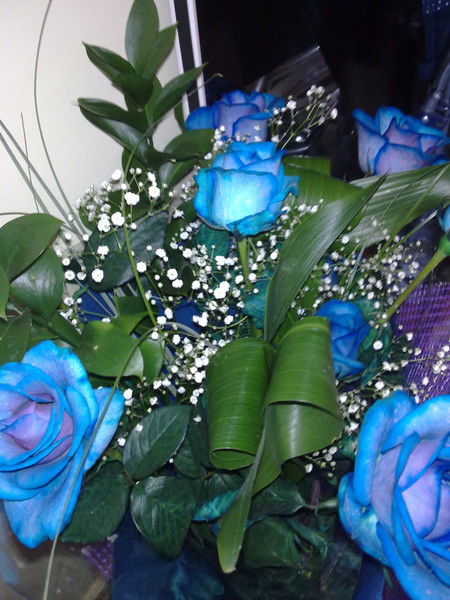 Малина Малиновая