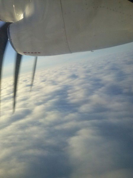 Дмитрий Могильников