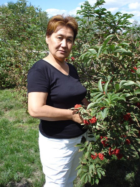 Культай Ибраева