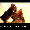 Васта М