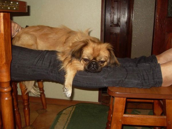 Алиночка Гетьман