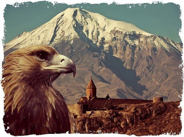 Нелли Геворгян