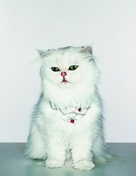 Танюшка Бутерус