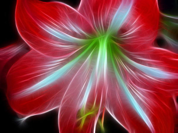 Светлана Горчакова