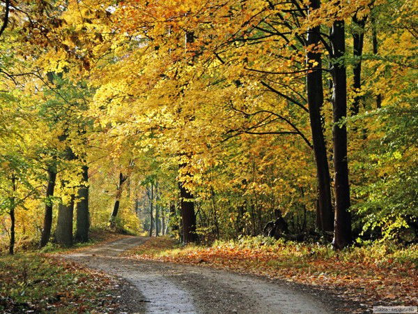 Медербек Долонов