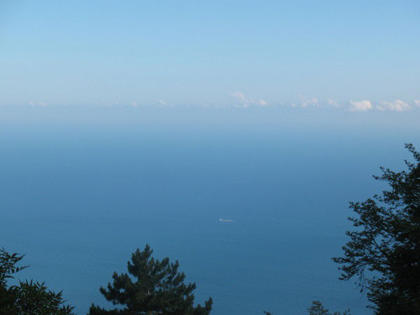 Наталья Карп