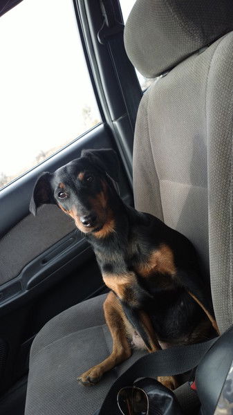 Александр Иванов