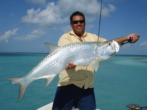 Дмитрий Коловоротный