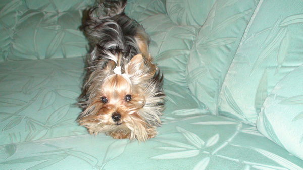 Александр Матсон