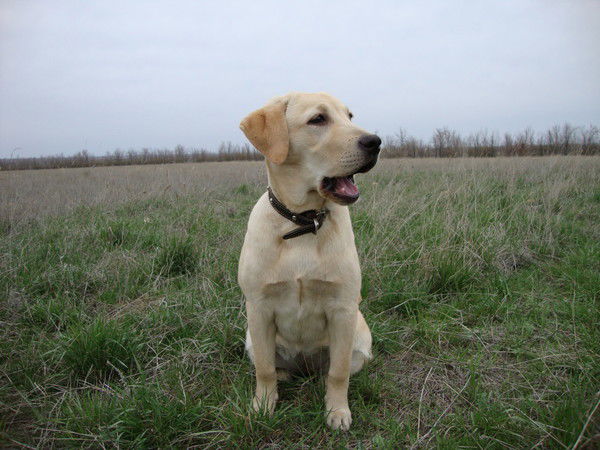 Наталья Лизунова