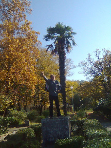 Игорь Дорогов