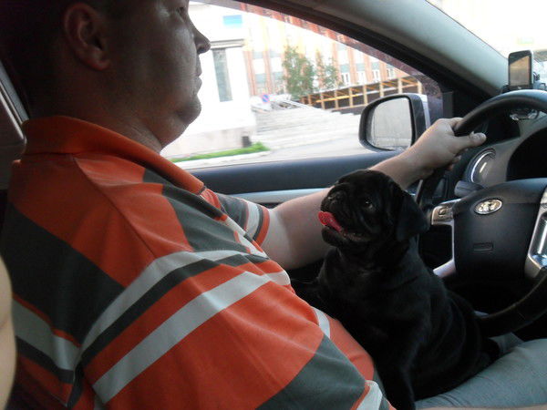 Денис Орлов