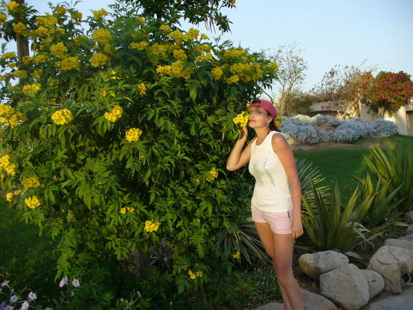 Елена Жёстких