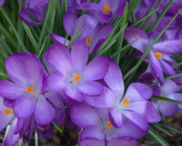 Лилия Гимадиева