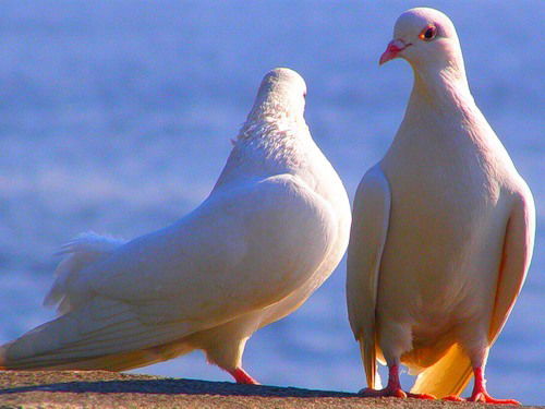 Геннадий Uhzpyjd