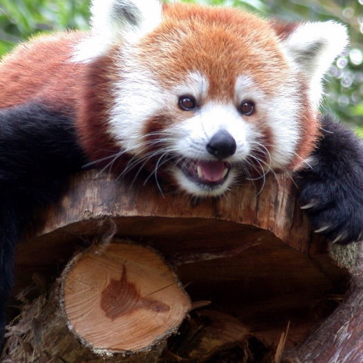 Увл Тракторозаводского Района