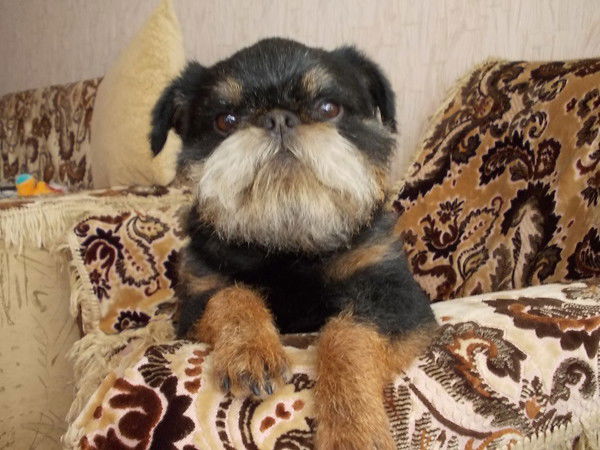 Дмитрий Долгих