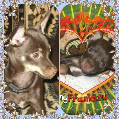 Ирина Григорьева