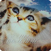 Маша Де Пой