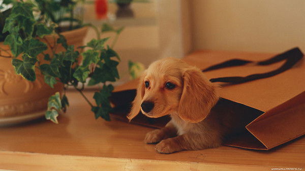 Сережа Скакун