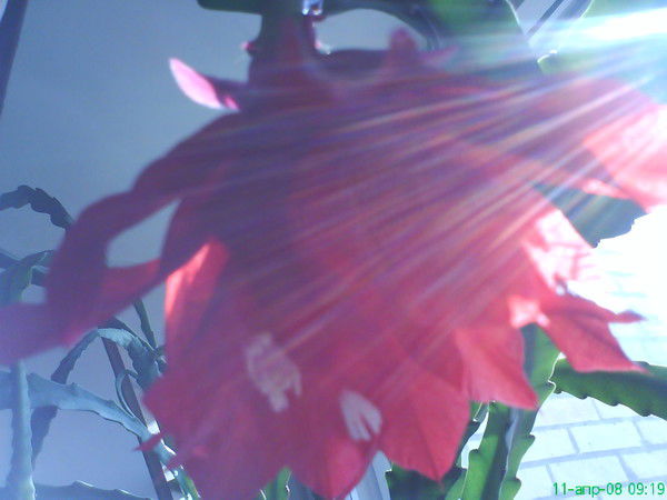 Татьяна Митина