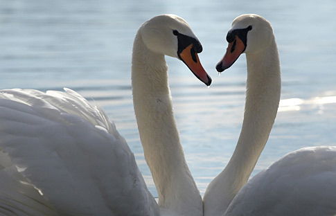 Надежда Mакарова