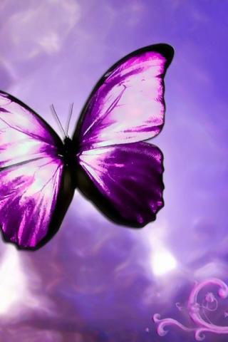 Екатерина Шульмина