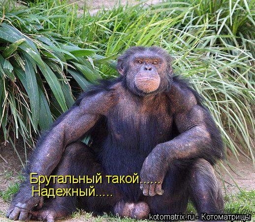 Ничей Никто