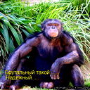 Ничей Никто