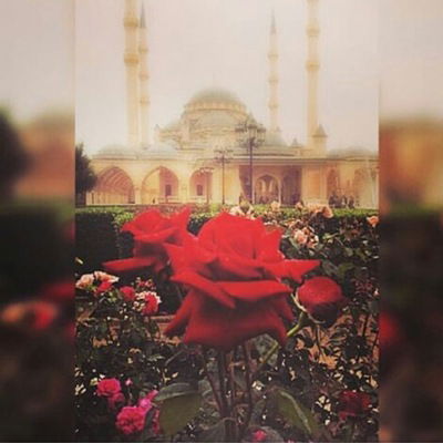 Милана Сулейманова