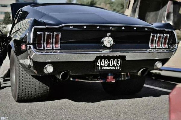 ....:::: Elfuego ::::....