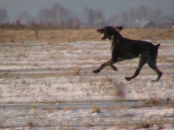 Владимир Владимир