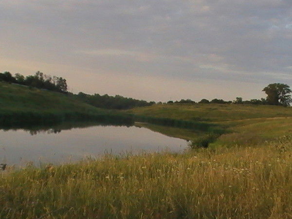 Томка Рыжова