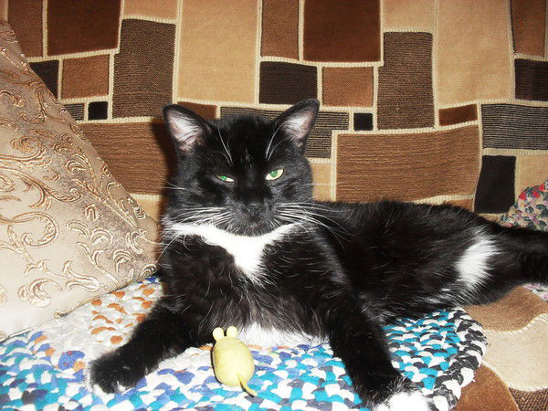 Игнат Макаров