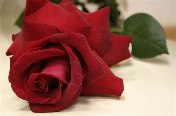 Наталья Богданова