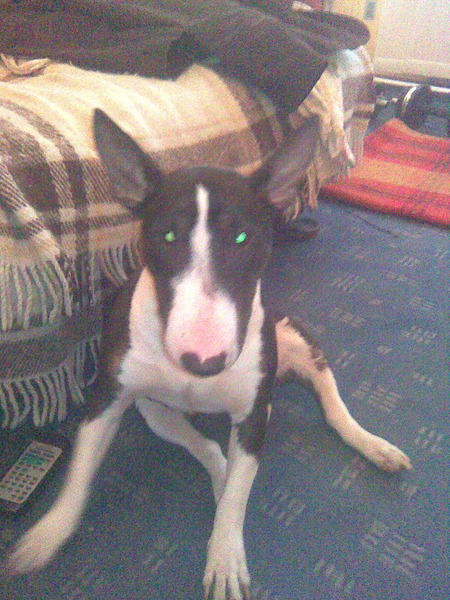 Руслан Немцев