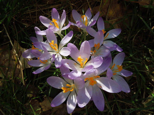 Дина Казакулова