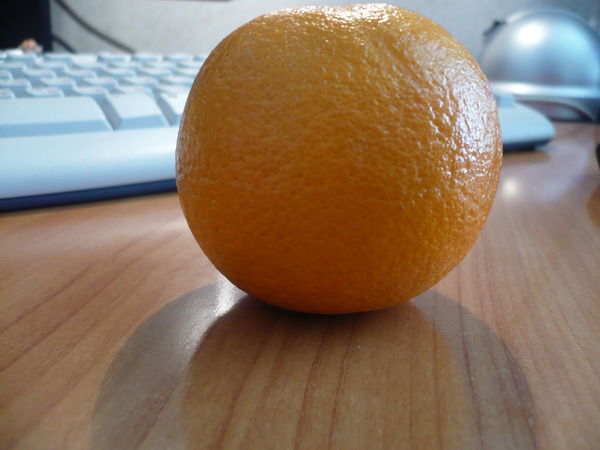 Наталья Новикова