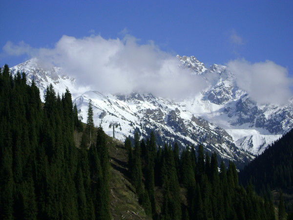 Ваня Кудеев