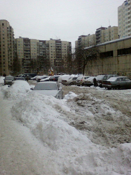 Бергилевич Наталья